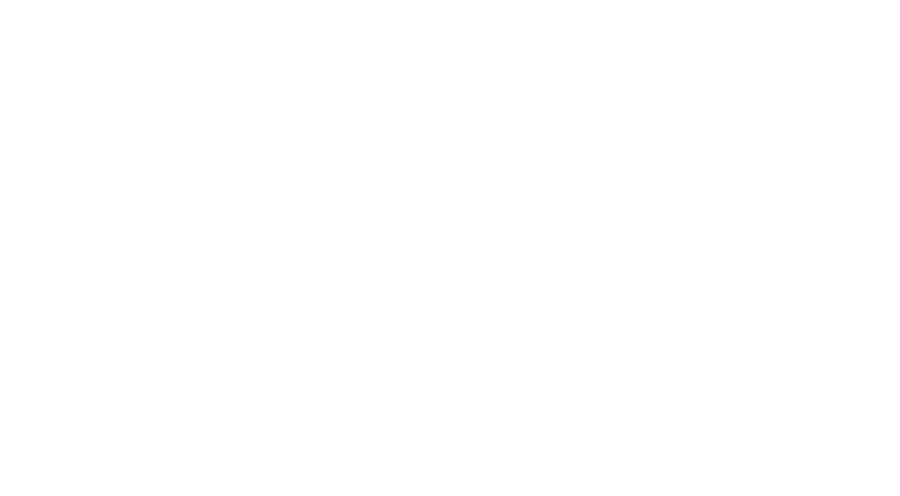 LISA training logo